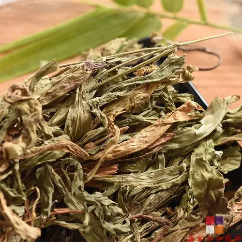 女性肝郁肾虚就吃海狗人参丸