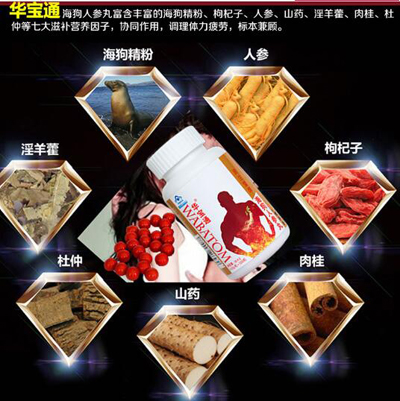 华宝通海狗人参丸的成份是什么？