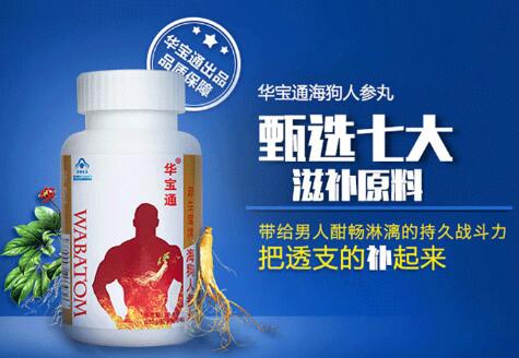 华宝通海狗人参丸
